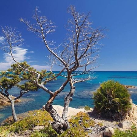 Villa Vera Trifamigliare Con Ingresso Diretto 20 Mt Al Mare Clima Wi-Fi Bbq Кала-Ліберотто Екстер'єр фото