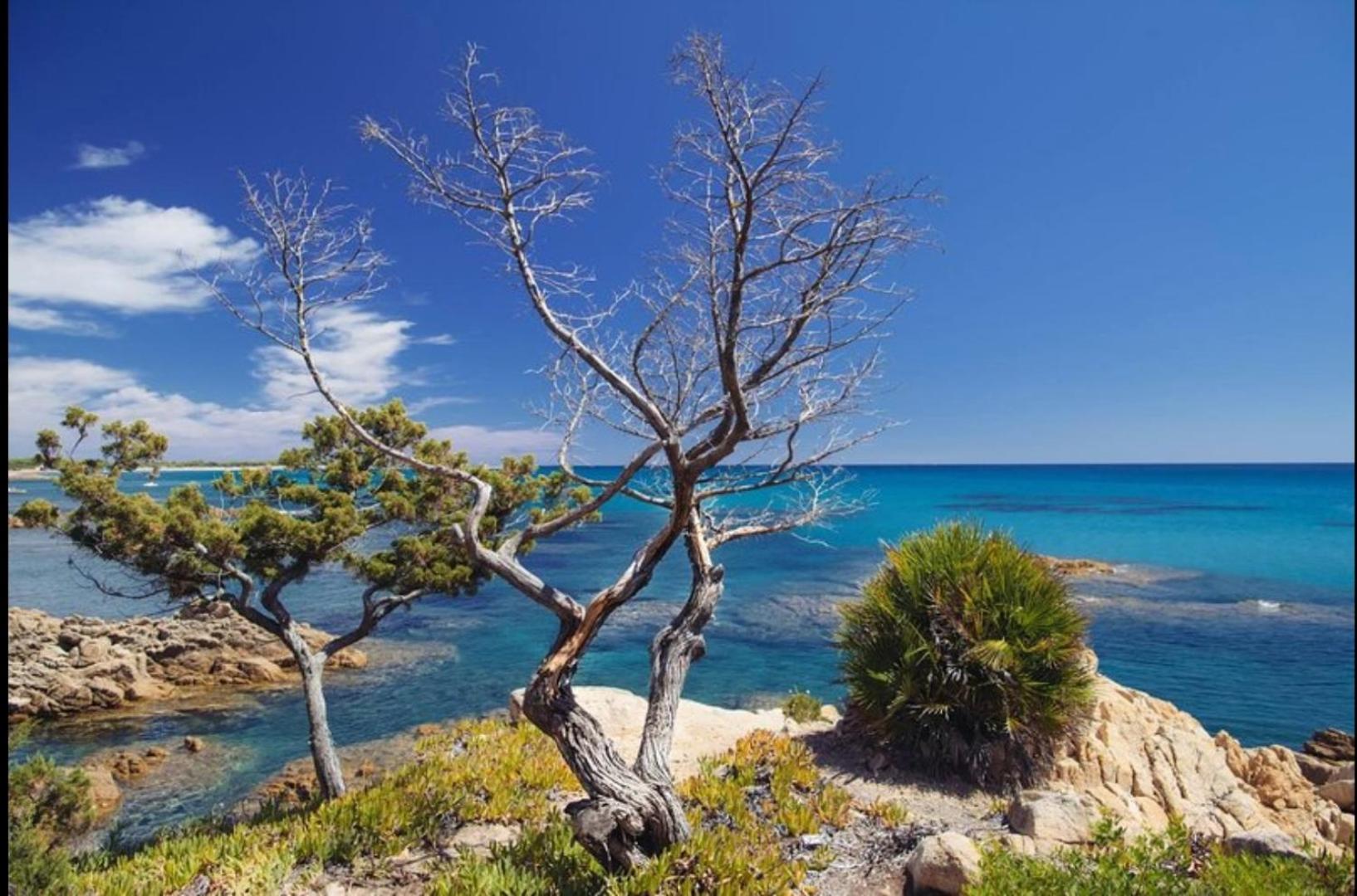 Villa Vera Trifamigliare Con Ingresso Diretto 20 Mt Al Mare Clima Wi-Fi Bbq Кала-Ліберотто Екстер'єр фото